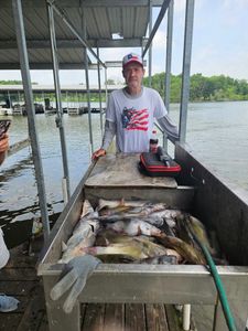 One blue catfish fishing in TX