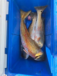 Scenic view of Port Arthur