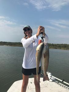 Fish-Species