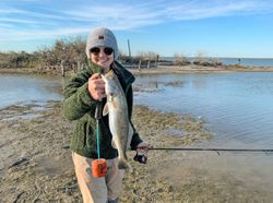 Speckled Trout, Wade fishing trip in Rockport