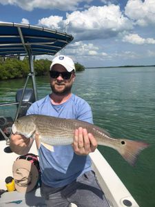 Angler with a big fish in Bonita Springs
