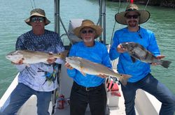 3 redfish and black drum fishing in FL