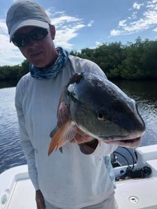 1 angler fishing in Bonita Springs