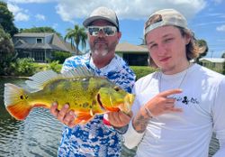 Peacock bass caught while fishing in Bonita Springs