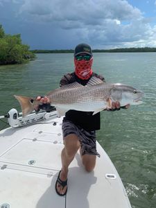 Redfish caught in Bonita Springs while fishing