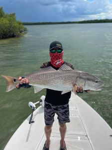 Redfish caught in Bonita Springs, Florida