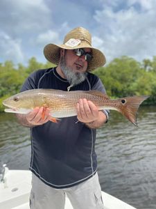 Redfish caught in Bonita Springs, Florida