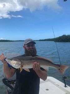 Redfish caught in Bonita Springs while fishing