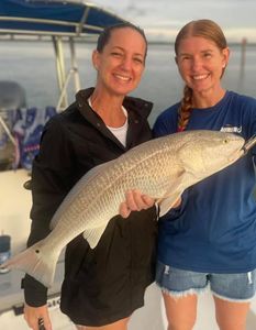 Photograph of a 23-inch Redfish caught while fishing in Bonita Springs