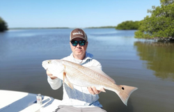 Redfish measuring 27 inches caught while fishing in Bonita Springs
