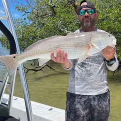 Redfish, 27-inch catch in Bonita Springs