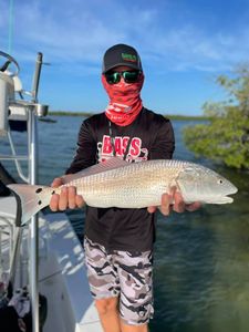 Redfish caught in FL