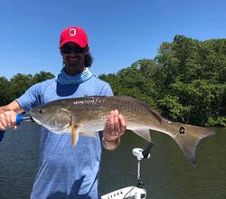 Redfish caught in FL