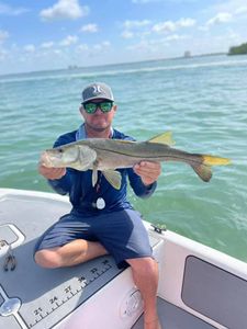Snook caught in FL