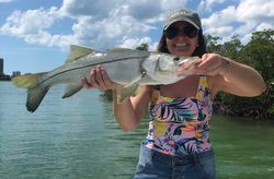 Snook fish caught in FL