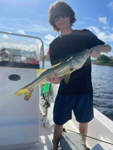 Snook fish caught in FL