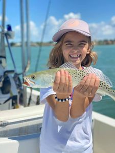 Spotted weakfish caught in Bonita Springs, Florida