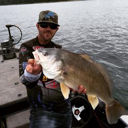 One person fishing in Florida