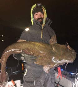 One blue catfish caught in Avon Lake