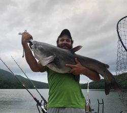 Channel catfish caught in Avon Lake during fishing