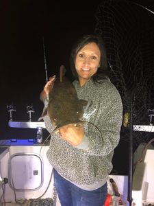 Night catfishing with Dusk till Dawn Charters