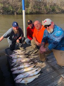 Anglers fishing in Ohio