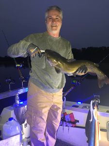Hardhead Sea Catfish fishing catch in OH