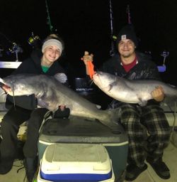 Two blue catfish measuring 33 inches, caught while fishing in Avon Lake