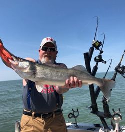 A photo of a large walleye fish caught by a person in Avon Lake during a fishing trip.