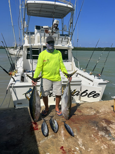 3 yellowfin tuna caught in Falmouth, fishing