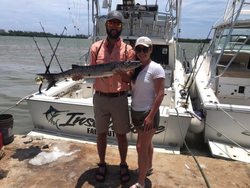 A great barracuda fish caught while fishing in Falmouth