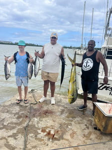 2 big fish caught in Falmouth