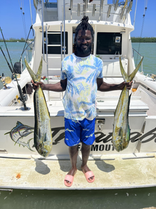 Two fish caught in Falmouth during a fishing excursion