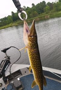 Fishing adventure in Orland