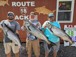 Four chinook salmon, a great fishing catch in New York