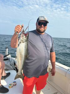 Chinook salmon caught fishing at 990 Point Breeze Road