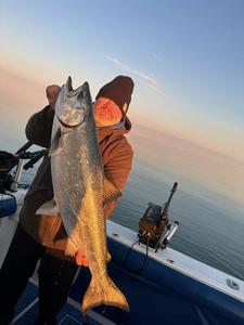 Chinook Salmon caught while fishing at 990 Point Breeze Road