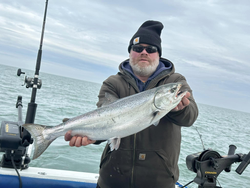 Chinook salmon, fishing at 990 Point Breeze Road