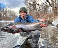 Trophy trout from Western New York!