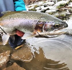 Another great day on the creek!