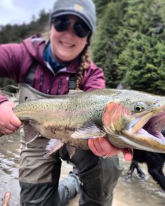Angler caught 1 fish in NY