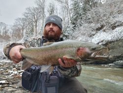 Photograph of a rainbow trout caught in Angola while fishing