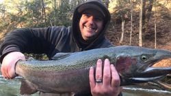 A single rainbow trout, 27 inches long, caught while fishing in Angola.