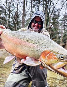 Photo of a 27-inch rainbow trout caught while fishing in Angola