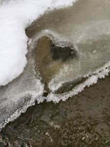 Crystalline ice patterns adorn the still, frozen surface, creating a tranquil winter scene.