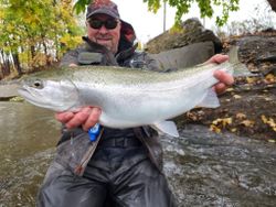 Fisherman catching a pink salmon in Angola
