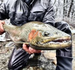 Fishing adventure in NY