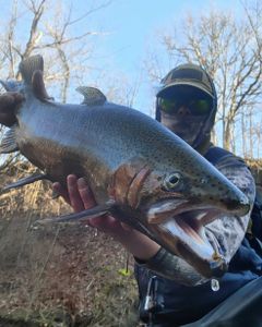 Fishing in NY