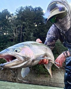 Fishing in New York