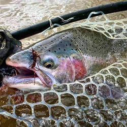 Fishing in NY